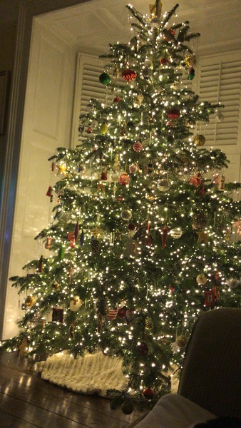 If you already have your tree up can I see it please?