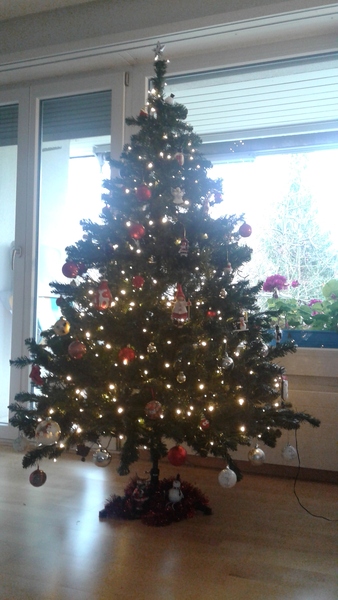 If you already have your tree up can I see it please?