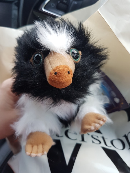 I really don't need a niffler....