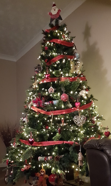 Lets see your trees 2018!
