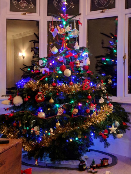 If you already have your tree up can I see it please?