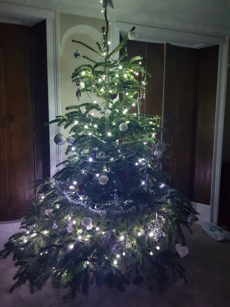 A 'show us your tree' thread