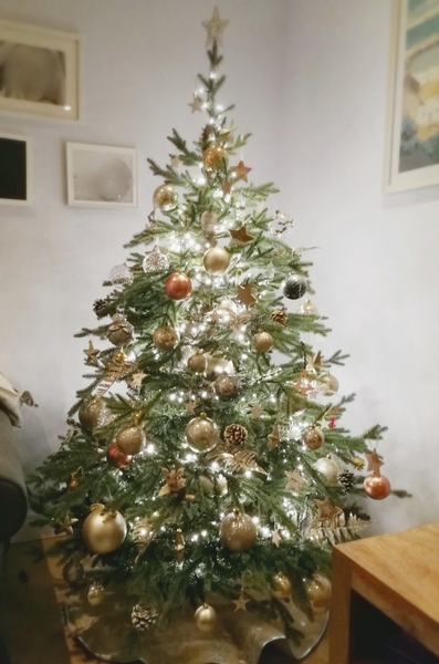 Lets see your trees 2018!