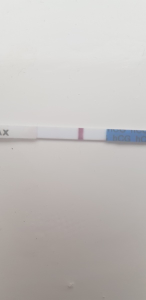 2 week wait