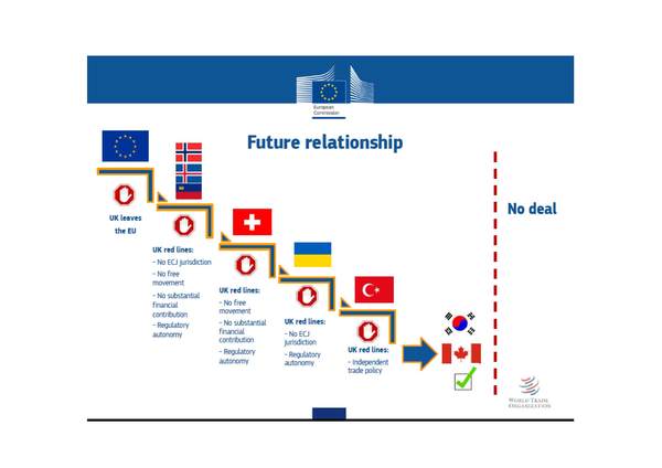 to wonder if a second referendum is a good idea?