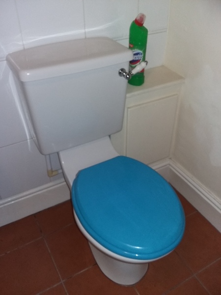 New loo seat - wooden or plastic?