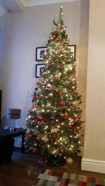Lets see your trees 2018!