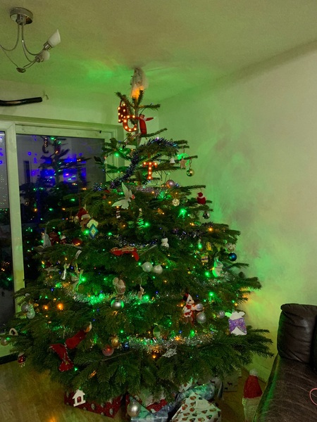 Lets see your trees 2018!