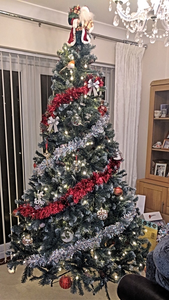 Lets see your trees 2018!