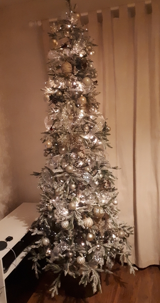 If you already have your tree up can I see it please?