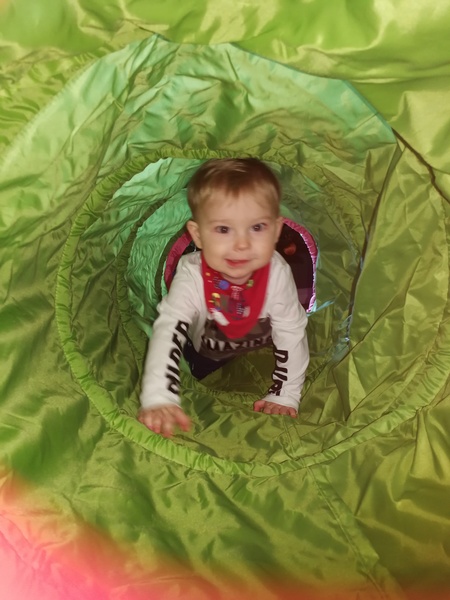 To clap my hands and skip about in a elephantine manner?