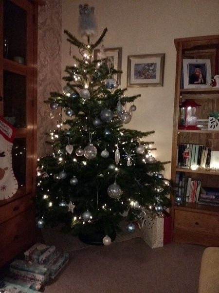 Lets see your trees 2018!