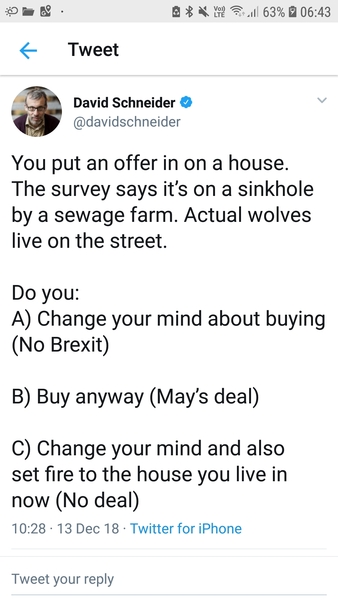 to wonder if a second referendum is a good idea?