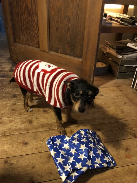 Sell me your dog