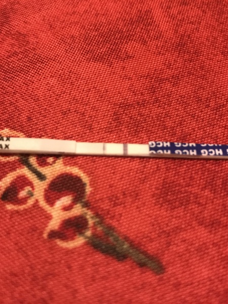 Positive ovulation test?