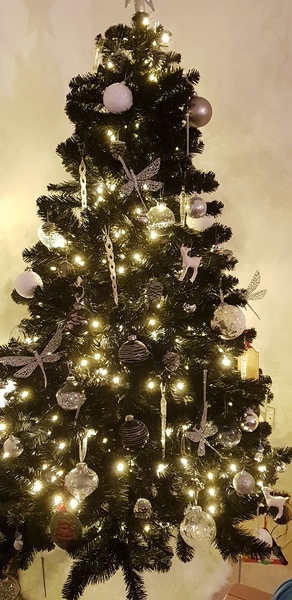 Lets see your trees 2018!