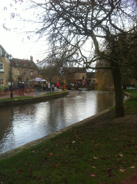 I can confirm there were dogs in the river at Bourton