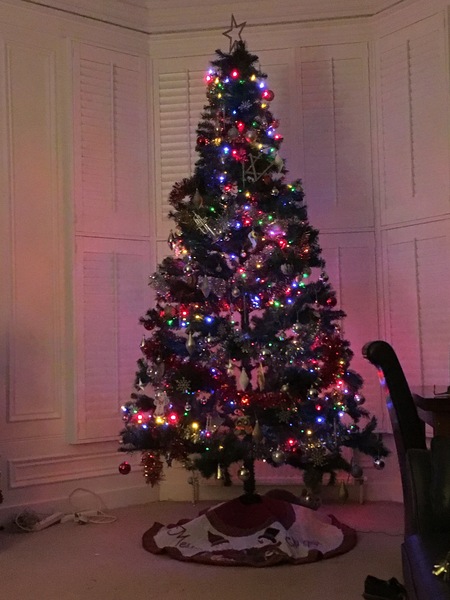 Lets see your trees 2018!