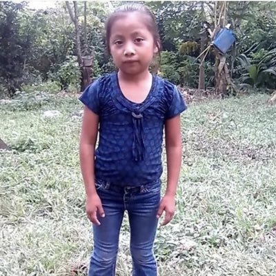But "When the president does it, that means it is not illegal": Trump thread LXXXVIII