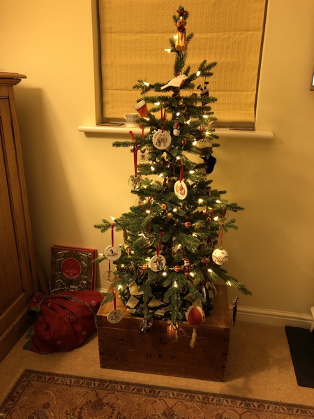 I have tree envy :-(