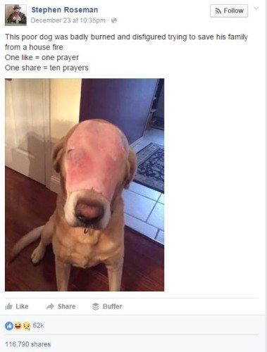To wonder why people are so gullible