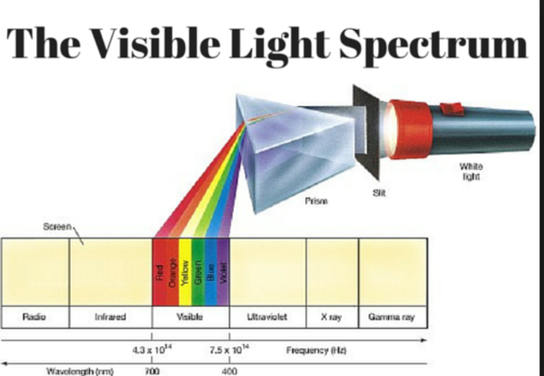 Recording of Mermaids training