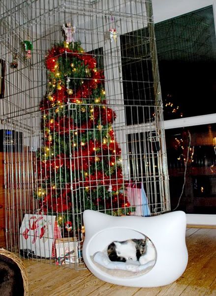 Christmas Decorations