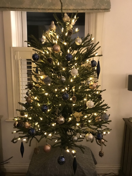 Lets see your trees 2018!