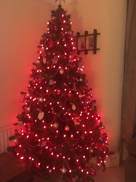 Lets see your trees 2018!