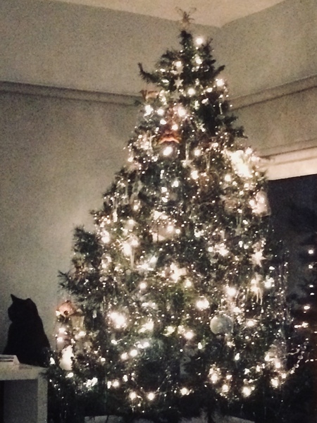 Lets see your trees 2018!