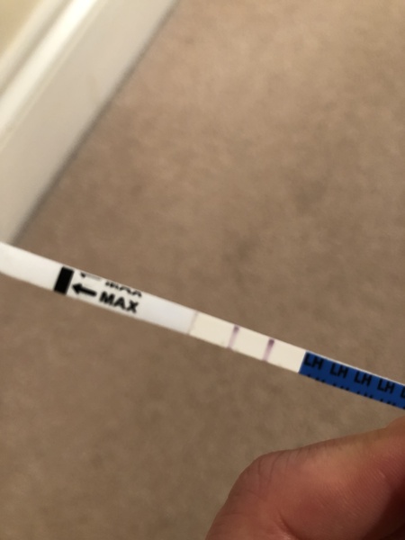 is this opk positive? sorry I know these are annoying!