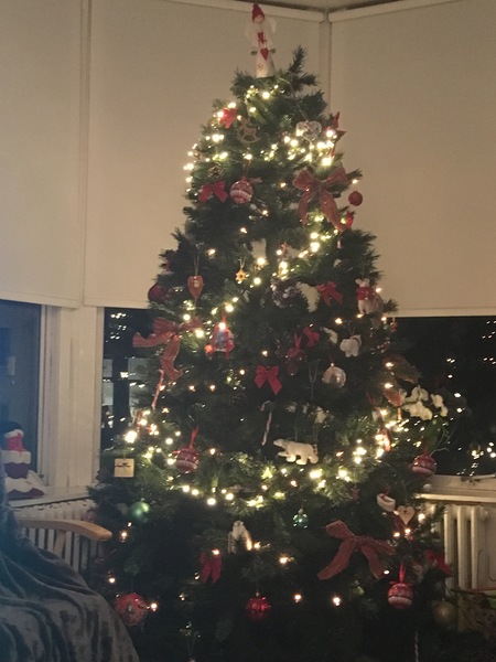 If you already have your tree up can I see it please?