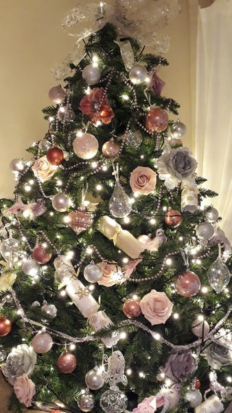 If you already have your tree up can I see it please?