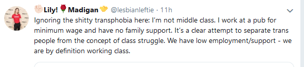 Lily Madigan and the School Saga