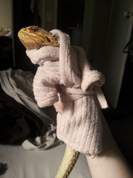 My skin is so dry I’m transforming into a lizard