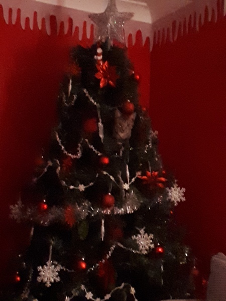 Kittens and Christmas tree