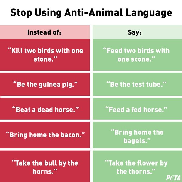 To think PETA do more harm than good?