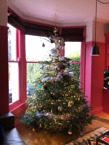 Lets see your trees 2018!