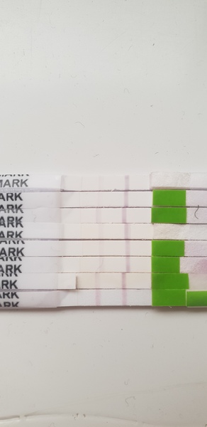 OPK following miscarriage
