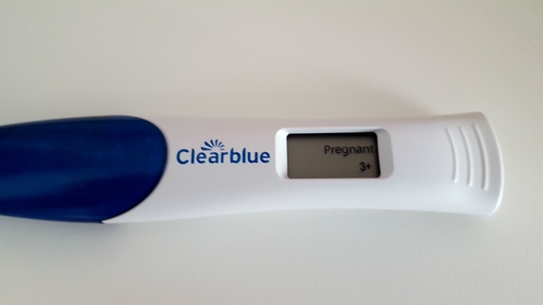 August 2019 Babies, part 2!