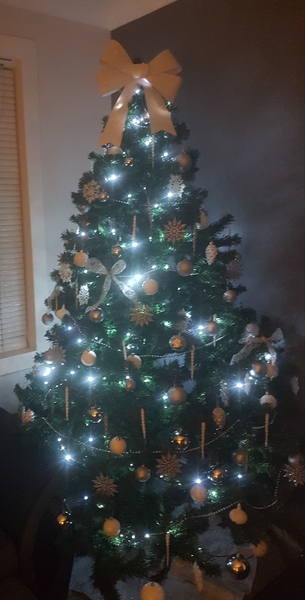 If you already have your tree up can I see it please?