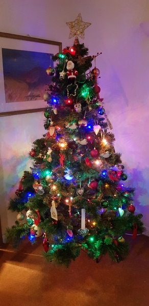 Lets see your trees 2018!