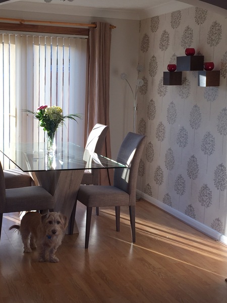 Can we have Show Us Your Sitting Room thread please?