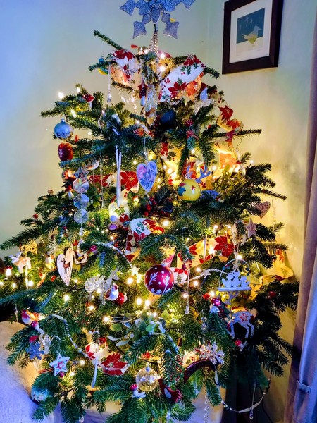If you already have your tree up can I see it please?