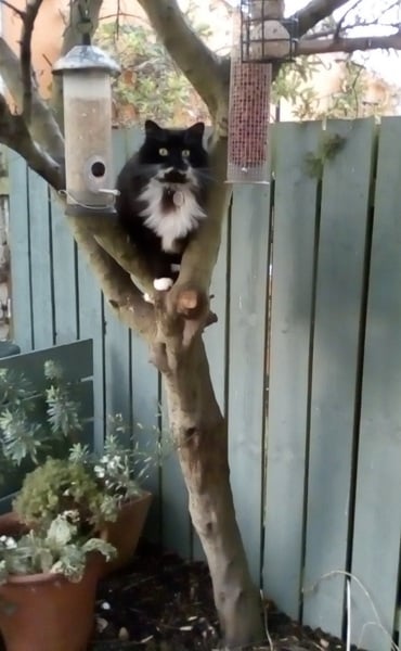 To want to know who is leaving anonymous gifts on my doorstep?