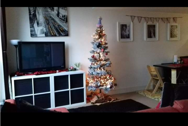 I have tree envy :-(