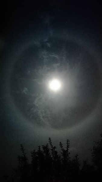 Any Witches Here Part 5.