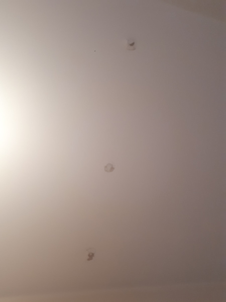 Any Plasterers About?
