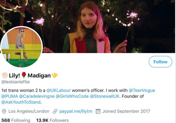 Lily Madigan and the School Saga