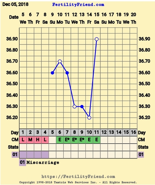 The July '19ers - knocked down, but never beaten